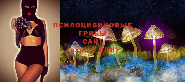 дурь Алексеевка